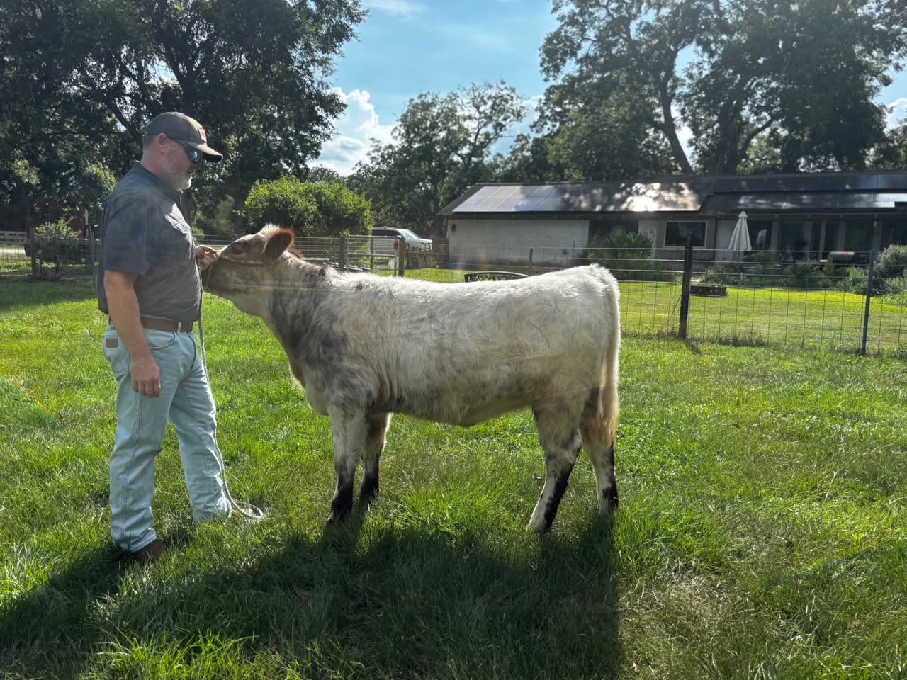 Side profile of Hot Flash with her handler