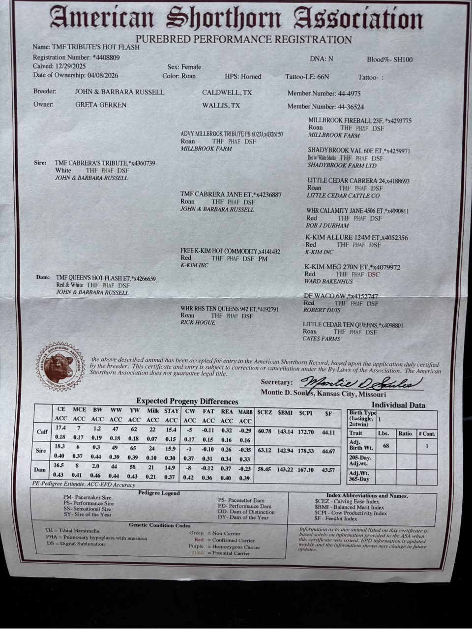 Registration certificate and pedigree for TME Tributes Hot Flash